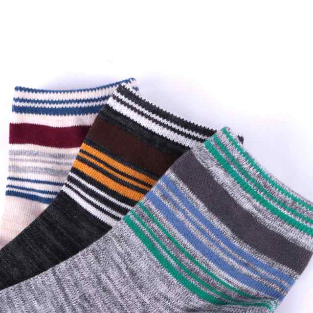 ヘルスニットプロダクト（Healthknit Product） メンズ 3Pソックス