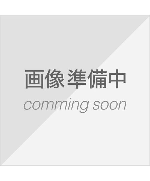 その他のブランド（other）/ガソリンランタン HK500 (ブラス)