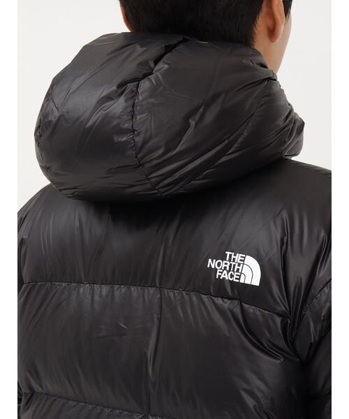 ザ・ノース・フェイス THE NORTH FACE ALPINE NUPTSE HOODIE