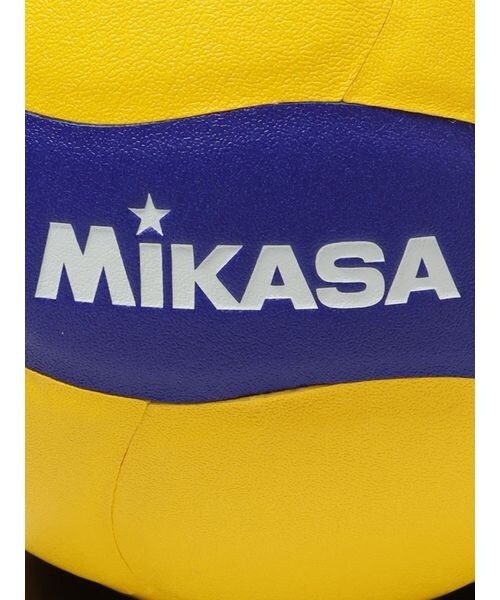 その他のブランド（other）/サインボール 記念品用マスコット