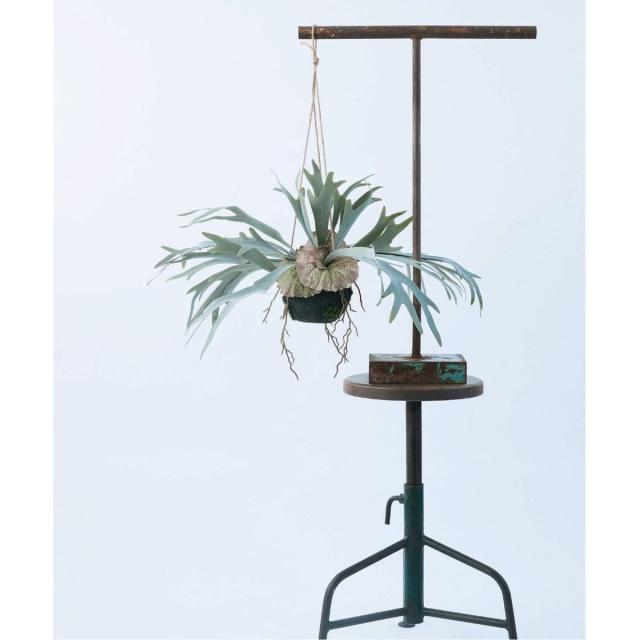 ジャーナルスタンダードファニチャー（JOURNAL STANDARD FURNITURE）/【Brown．/ブラウン】 ビカクシダ ハンギングボール 46 フェイク…