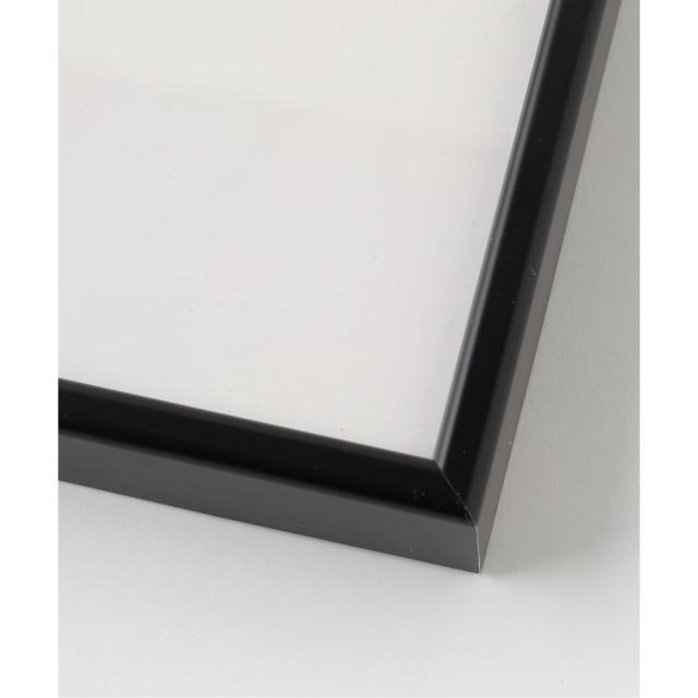 ジャーナルスタンダードファニチャー（JOURNAL STANDARD FURNITURE）/10 POSTER PRTEGA　アートフレーム_4