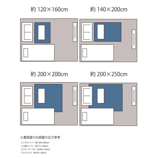 アクメファニチャー（ACME Furniture）/GLENOAKS RUG 200x200 グレンオークスラグ_15