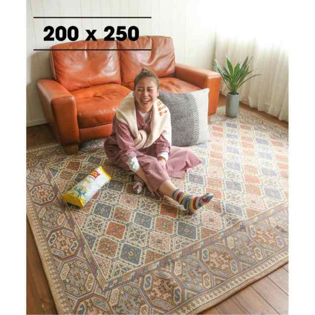 アクメファニチャー（ACME Furniture）/GLENOAKS RUG 200x250 グレン