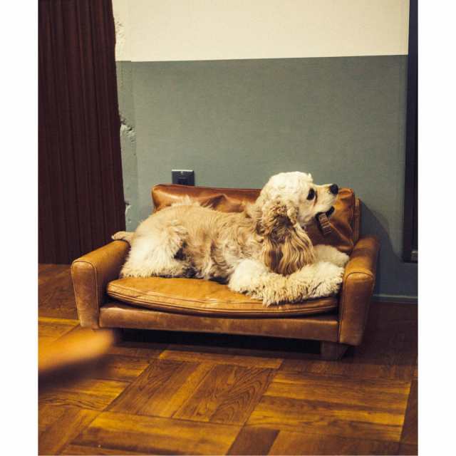 アクメファニチャー（ACME Furniture）/FRESNO FOR DOG−S フレスノ ドッグ ペット用ソファ