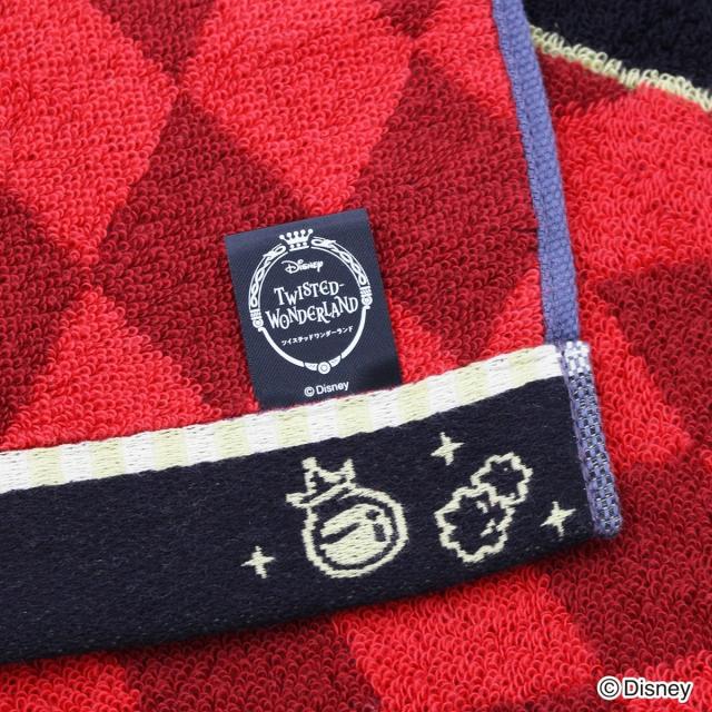 タオル美術館（Towelmuseum）/『ディズニー ツイステッド