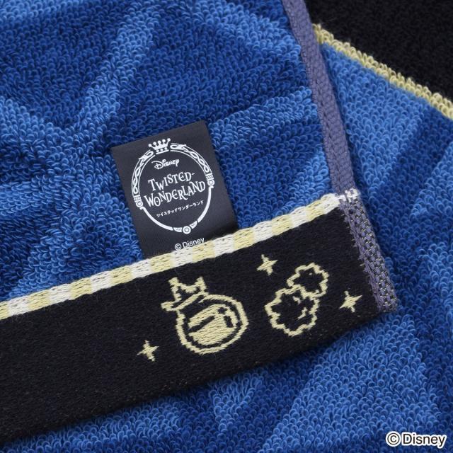 タオル美術館（Towelmuseum）/『ディズニー ツイステッド