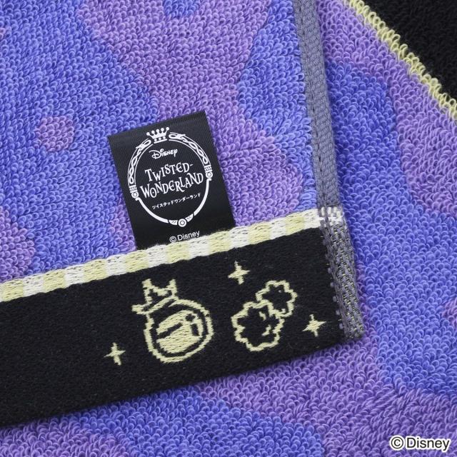 タオル美術館（Towelmuseum）/『ディズニー ツイステッド