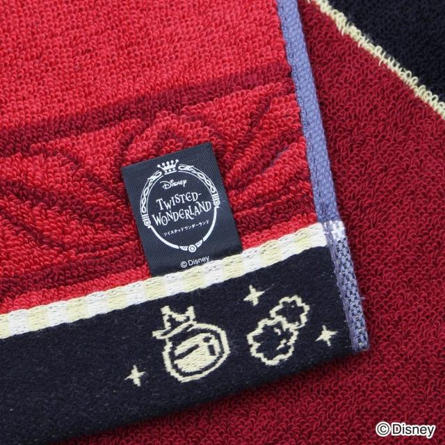 タオル美術館（Towelmuseum）/『ディズニー ツイステッド