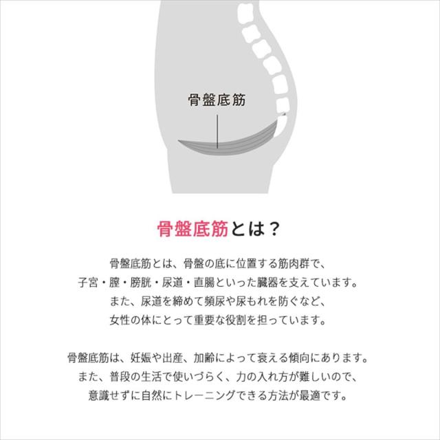エイミー（AiMY）/エイミー フェムエア スイングの通販はau PAY