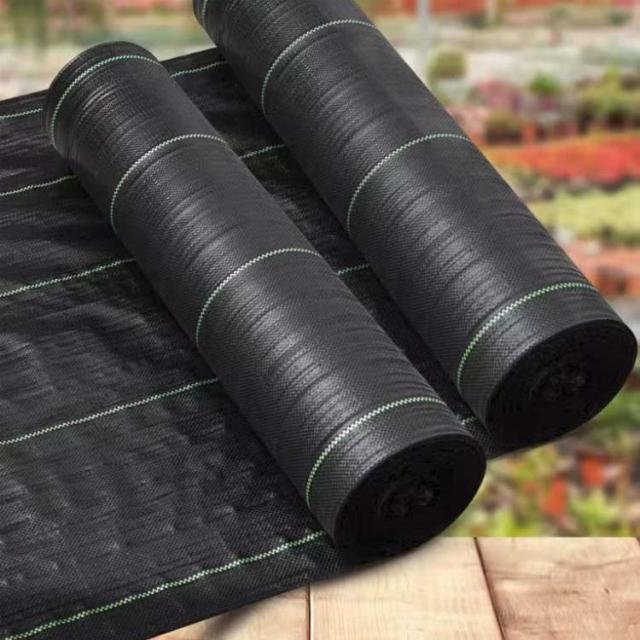 防草シート ロール状 雑草対策 1m × 20m 防草シート ロール 1m×100m 50cm×200m 除草シート 雑草防止シート 草