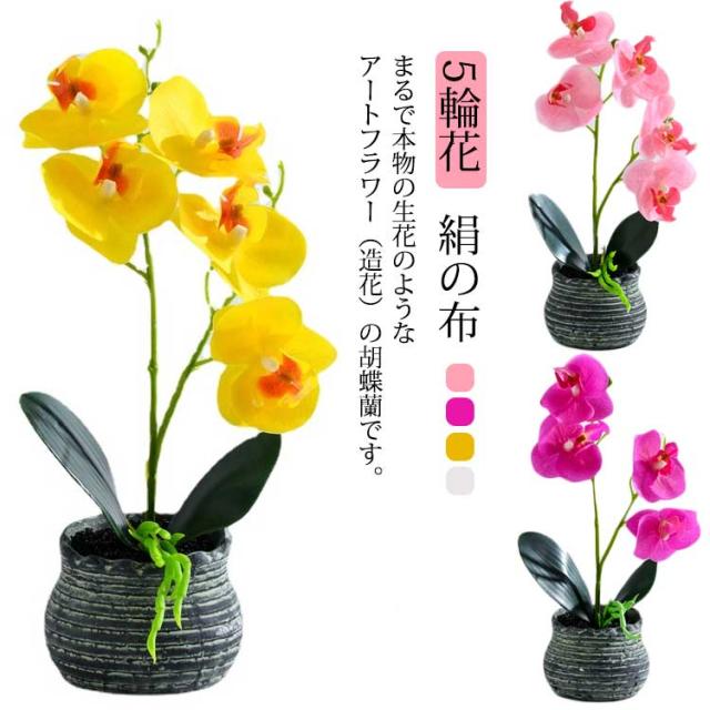 生花風 観葉植物 盆栽 胡蝶蘭 超リアル! 造花 コチョウラン 生花風 観葉植物 盆栽 胡蝶蘭 超リアル! 造花 コチョウラン