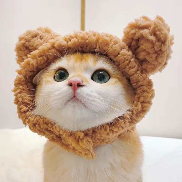 猫の被り物 猫用 ペット用 かぶりもの コスプレ ウサギ 兎 パンダ