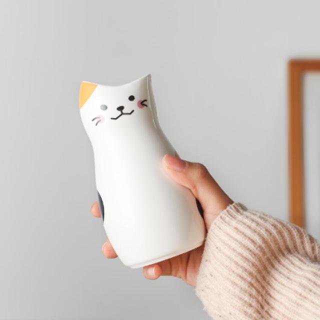 可愛い ねこちゃん 日本酒 ぐい呑み とっくり おちょこセット 3点