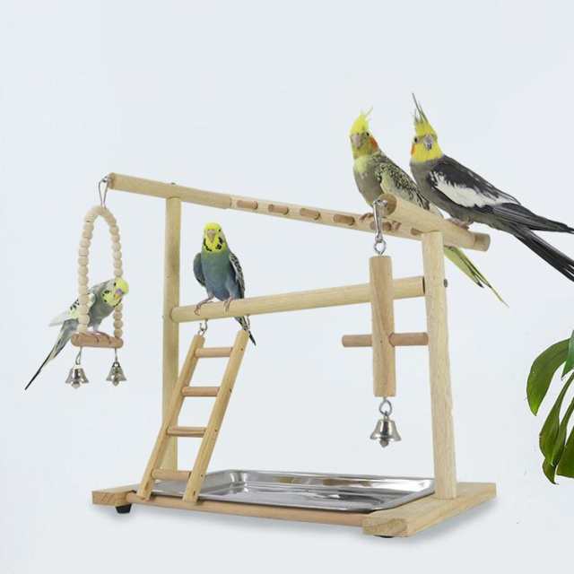 オウムスアスレチックスタンド{キビタイボウシインコ}