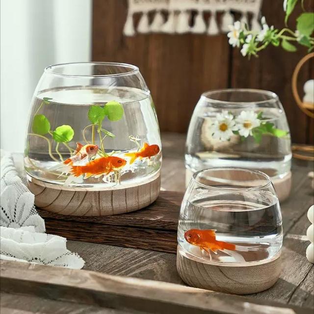 金魚鉢 アクアリウム ボウル 丸型 観葉植物 ガラス 水槽