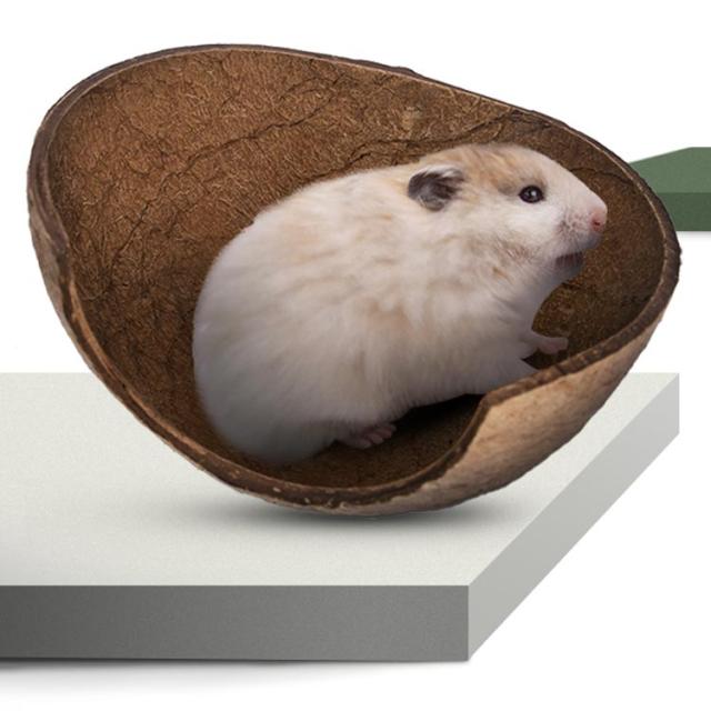 ハムスターハウス ハウス お家 寝床 隠れ家 円形 ハムスター用 ハムスター 夏対策 ハウス おへや 夏 隠れ家 インテリア 可愛い 洗える の通販はau Pay マーケット Candy Candy
