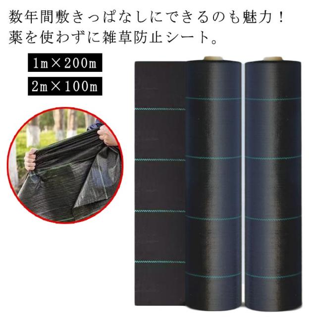 除草シート 駐車場 耐用年数 農用シート 農業 芝生 雑草防ぐ 庭 雑草対策 人工芝 雑草 畑 高透水 雑草防止シート 2m×100m 雑草防止 ガーデニング 草よけ 防草シート 高耐久 家庭菜園 園芸用 草除け 1m×200m 送料無料 草 6,852円