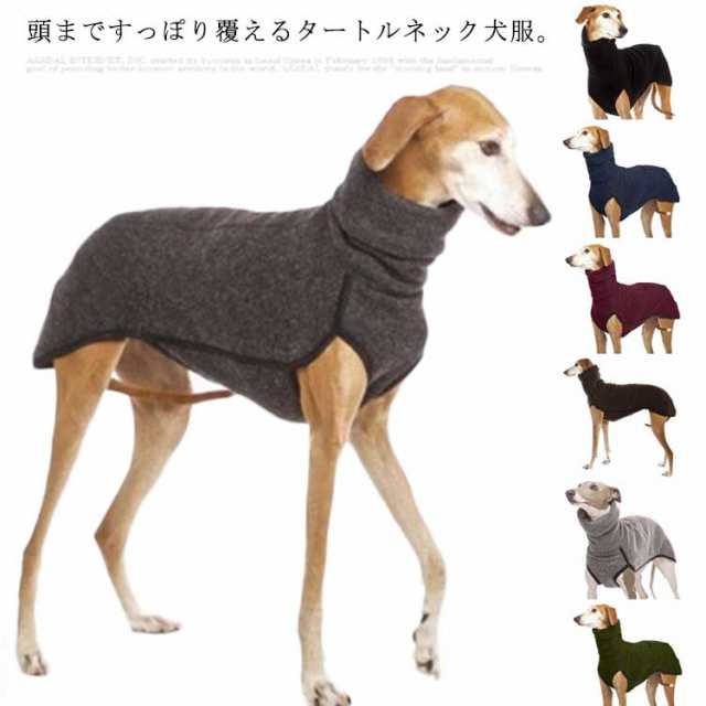 サルーキ 服 販売 ストア