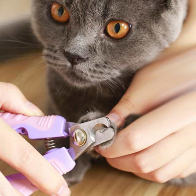 ペット用爪切り ペット 爪切り 犬 猫 爪やすり ステンレス ネイルケア