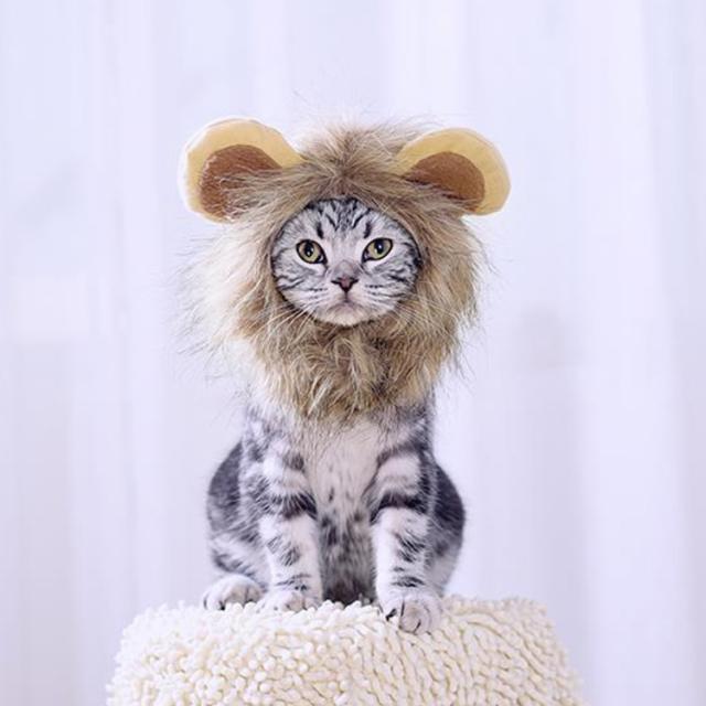 じ 猫 被り物 ライオン 猫用ウィッグ 小型犬 L, 白い（楽天市場 