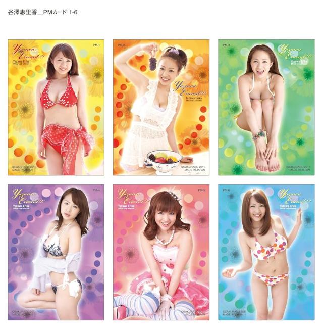 谷澤恵里香 オフィシャルカードコレクション YazawaEricard!!! BOX_3
