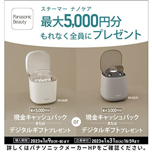 Panasonic EH-SA70-H GRAY EH-SA70-H スチーマー ナノケア｜スチーマー