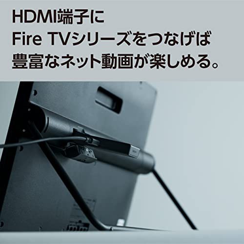 パナソニック 15V型 ハイビジョン HDMI入力端子搭載 ポータブル 液晶