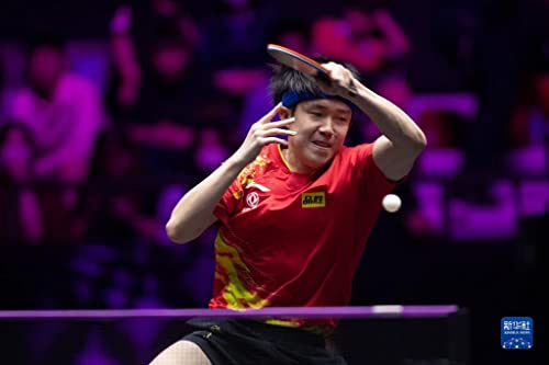 紅双喜(DHS) 明星国狂（ナショナルチーム選手用キョウヒョウ） 本物保証 説明書付き Hurricane (王楚欽 フォア 黒 ブルースポンジ 2.1mm 41.5度)  国狂3