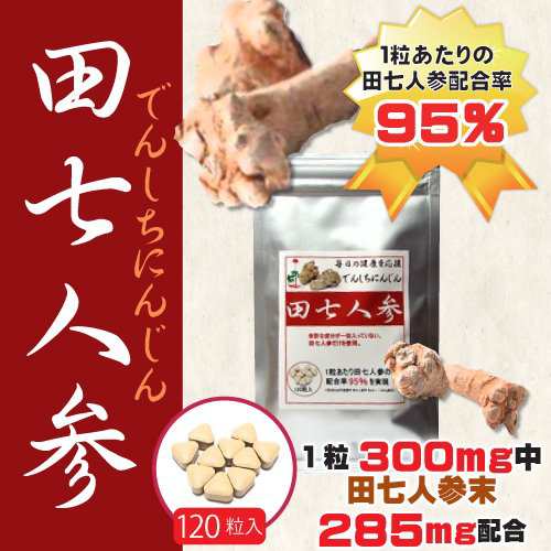 三共ソリューション 田七人参 36g (300mg×120粒） サプリ サプリメント