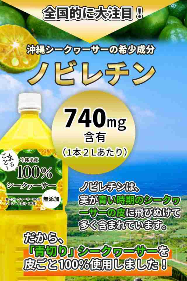 シークワーサー果汁100％沖縄県産シークヮーサー2L☓2本 - ソフトドリンク