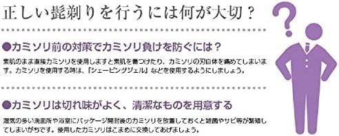 業務用使い捨てカミソリ（RA二枚刃）600本入り T字カミソリ T字シェーバー 髭剃り T字剃刀 ヒゲソリ 2枚刃 ホテルアメニティ RAZOR