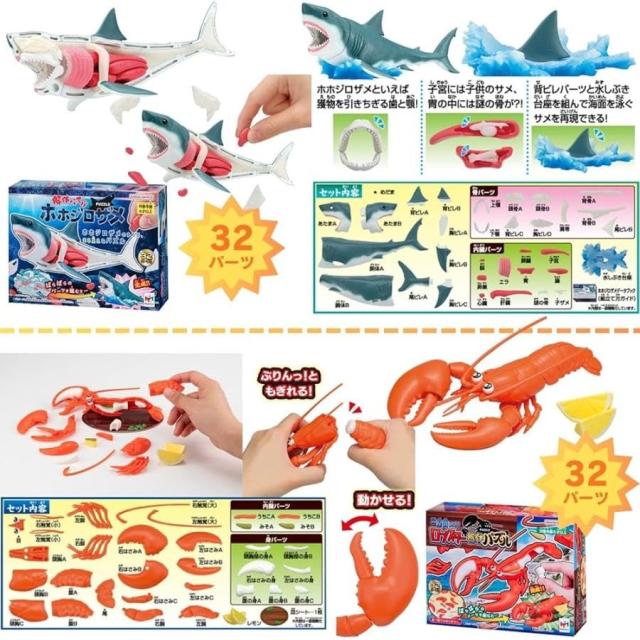 解体パズル お魚パズルコンプリート［海あそびフルセット］ 本マグロ キングサーモン トラフグ 本ズワイガニ −内子付き− ホホジロザメ ロブスター イカ_4