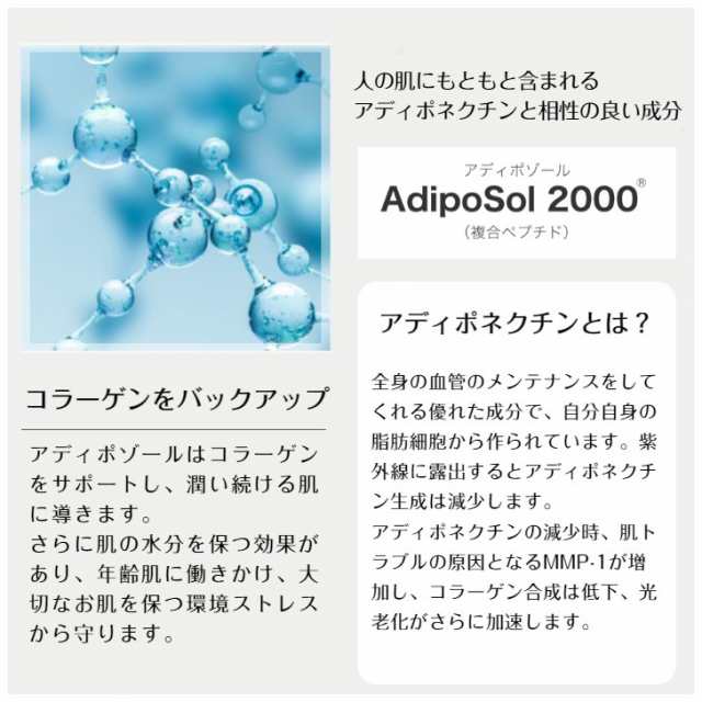 シリアルナンバー付き v3シャイニングファンデーション 本体