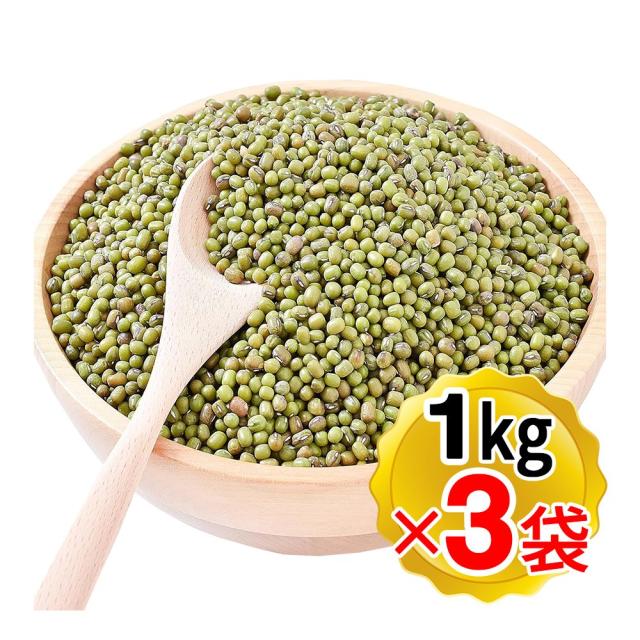 [新品未開封]ARMORED COREVI 公式アートワークス　アーマードコア6 片岡義男 「限りなき夏Ⅰ 」