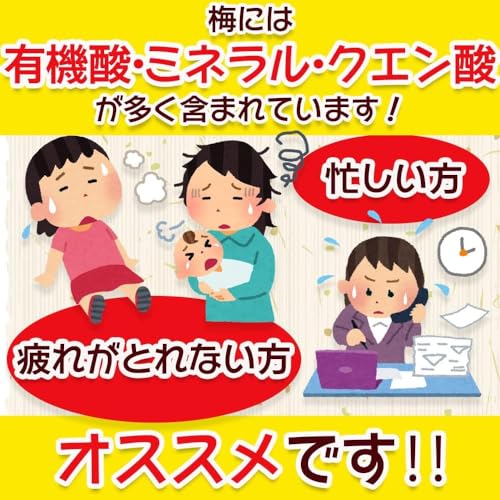 リフココ まろやか干し梅 種なし梅 個包装 800g (約210個前後)×5袋セット 計4kg（宅配便発送）大容量 業務用サイズ 干し 梅 梅干し うめ 熱中症 対策_3