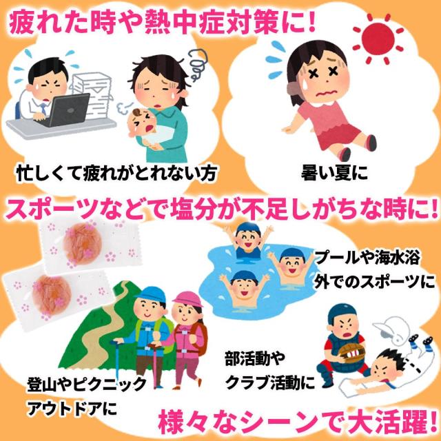 リフココ 和歌山県 紀州産 まろやか干し梅（はちみつ入り）種なし梅 個包装 500g×2個セット 干し梅 国産 紀州南高梅 梅干し お菓子 うめ 熱中症 対策 梅お菓子_5