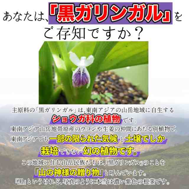 ポイント常時2倍商品）クロガリンダ 37g(1カプセル370mg×100カプセル)×2個セット 黒ガリンガルの通販はau PAY マーケット -  〜食と暮らしを楽しく〜 リフココ | au PAY マーケット－通販サイト