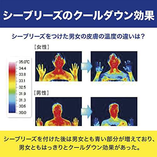 本体セット品】シーブリーズ アンティセプティック 全身薬用ローション