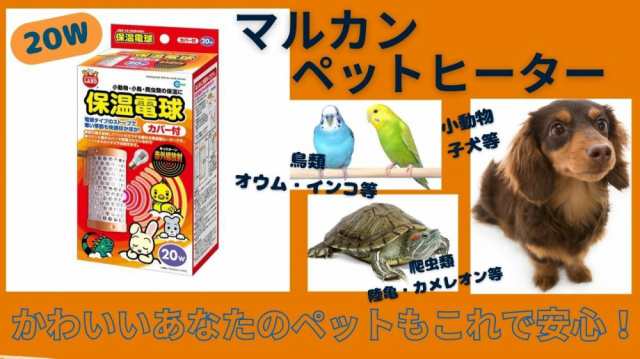 ペットヒーター 犬 猫 インコ マルカン 保温電球カバー付(20W)の通販は