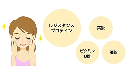 山年園 酒粕 粉末 200g 【国産100%】【6袋セット】巣鴨のお茶屋さん_5