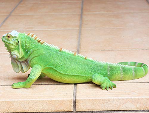 ファンシー Ca157 プレゼント 人気 ガーデン オーナメント オブジェ イグアナ 置物 かわいい 雑貨 ガーデン 芝生 玄関先 庭 ガーデン の通販はau Pay マーケット ジュエリーギフト デバリエ