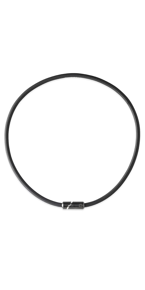 うっしーちゃん様専用バートルファン二個セット