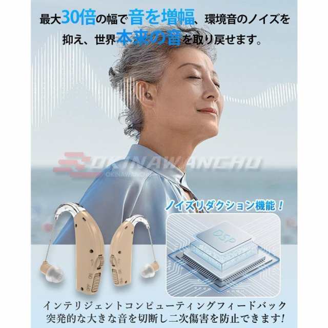 集音器 高齢者 耳掛け型　ワイヤレス 使いやすい 軽量 両耳 長時間運行　小型 目立たない 落ちにくい USB充電式 ケース付きの通販は