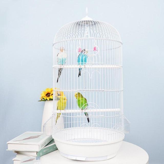 バードケージ 鳥かご 鳥小屋 多頭飼い 高さ70cm 直径34cm 鳥ケージ バードパレス 止まり木 鳥カゴ かご 鳥 小鳥 ゲージ セキセイインコ