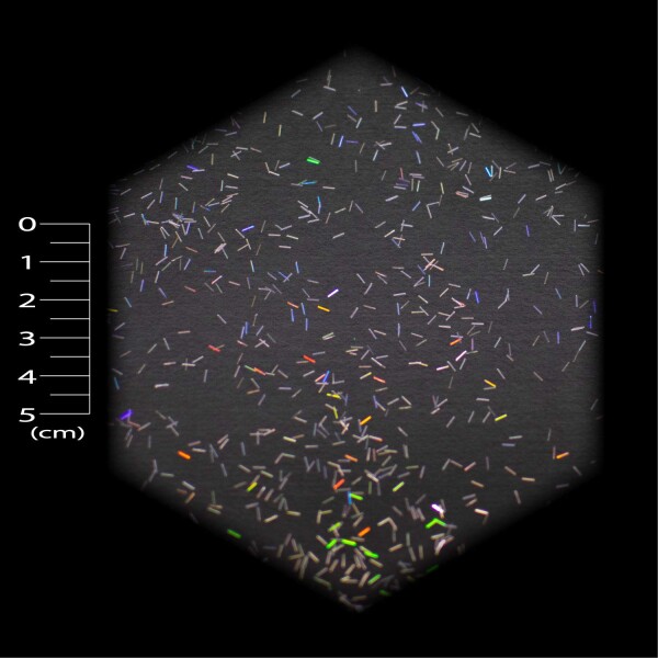 DIY MASTER ホログラム ラメ フレーク ロング 0.2mmx3mm (中) 250g