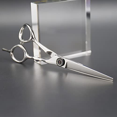 AOLANDUO 6インチ ヘアカットシザー - ハイエンド AICHI スチール