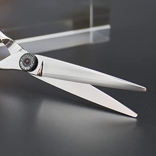 AOLANDUO 6インチ ヘアカットシザー - ハイエンド AICHI スチール