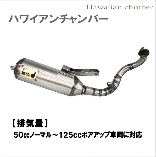 美品 送料込みスーパーディオV8ハワイアンチャンバー 縦型 Amazon | 【Life Design Johnson.116】ホンダ ディオ DIO 縦型
