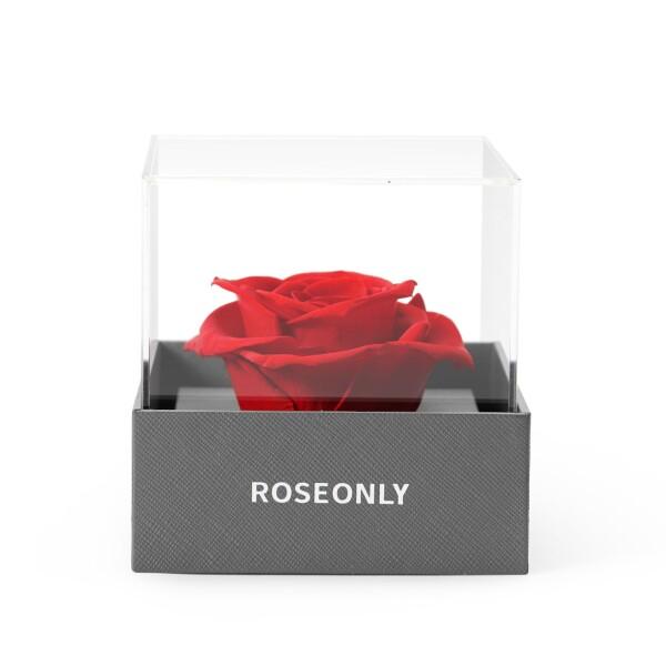 ROSEONLY プリザーブドフラワーボックス デスティニーローズ 本物のローズ 花 誕生日 母の日 記念日 バレンタインデー 告白 プロポーズ 卒業 退職のプレゼント
